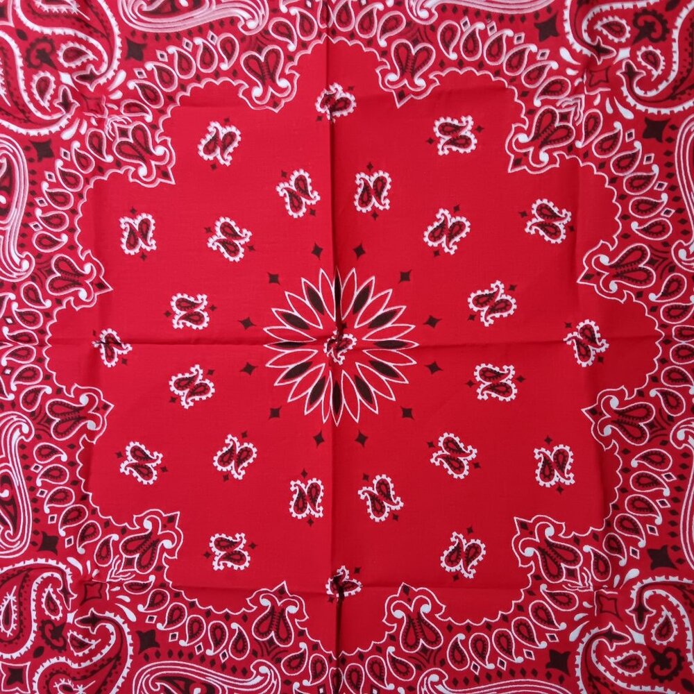 Vintage Red Paisley Bandana Handkerchief By Hav-A-Hank 100% Cotton NEW NOS 80's